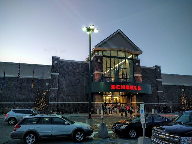 Scheels
